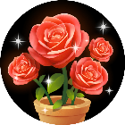 超级神龙游戏图标