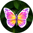 开心消星星消除游戏游戏图标