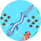 多鱼大亨游戏图标