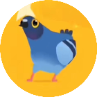 疯狂的鸽子表情游戏图标