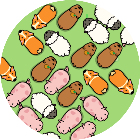 赶猪游戏游戏图标