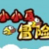 小小鸟冒险