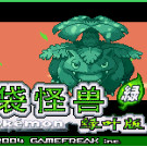 口袋妖怪 - 叶绿