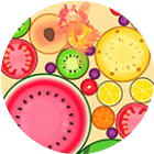 新碰个大西瓜经典游戏图标