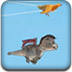 惊人小飞龙游戏图标