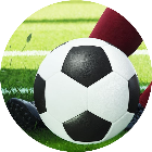 绿茵巅峰之路游戏图标