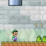 超级玛丽之路易复仇