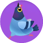 疯狂鸽子模拟游戏图标