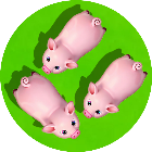 救个猪猪游戏图标